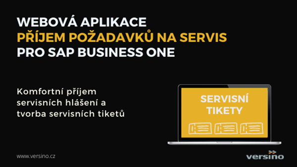 Ani SAP Business One není dokonalý