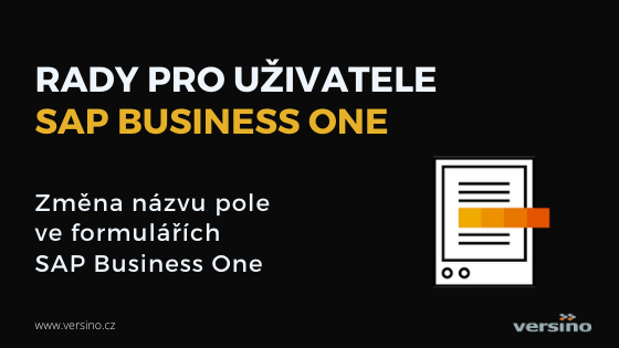 Uživatelská změna názvu polí v SAP Business One