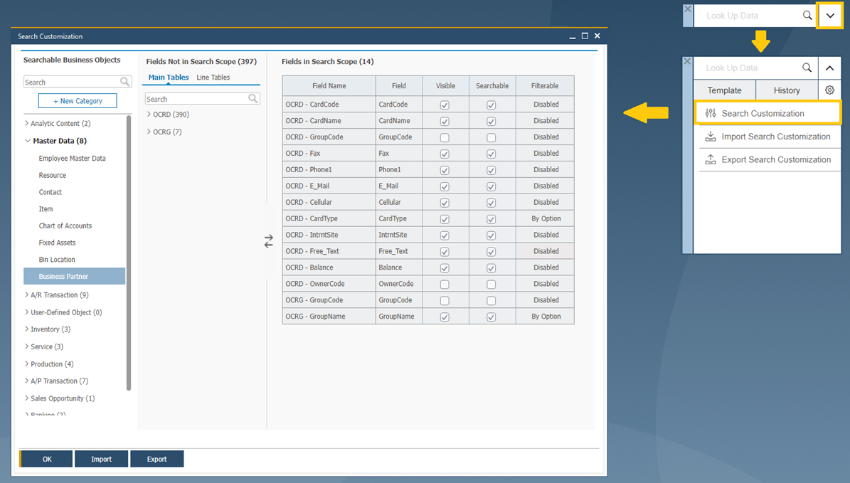 Tip pro uživatele SAP Business One - Přizpůsobení vyhledávání Enterprise Search